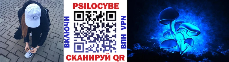 продажа наркотиков  Кызыл  Галлюциногенные грибы Psilocybe 